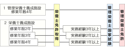 栄養士になるまでの道のり