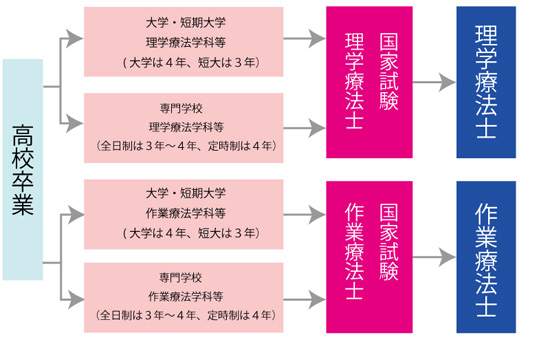 理学療法士になるまでのプロセス図